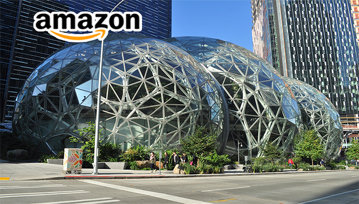 Read more about the article AMAZON’DAN MARKA KORUMASI